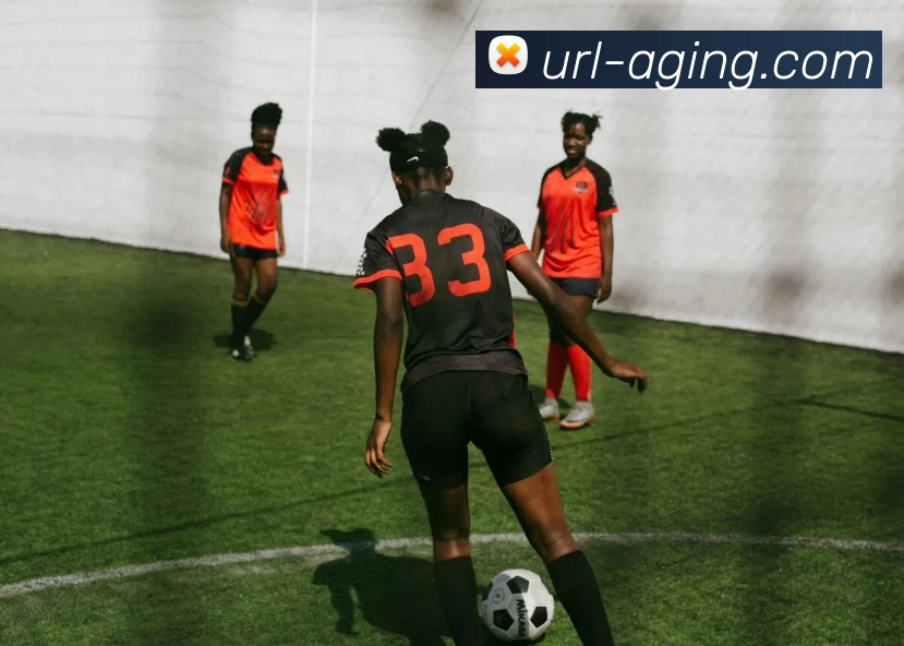 App Interface Preview